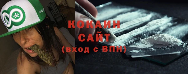 тгк Абаза