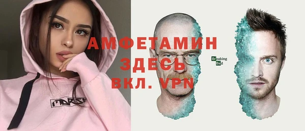 тгк Абаза