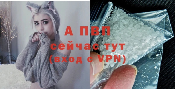тгк Абаза