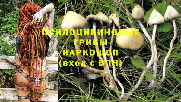 тгк Абаза