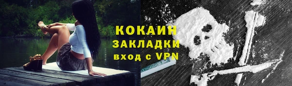 тгк Абаза