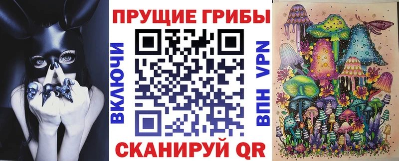 Галлюциногенные грибы GOLDEN TEACHER  блэк спрут сайт  Зубцов 